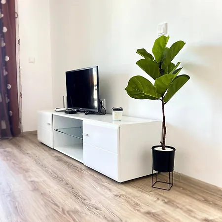 Summer Janet ابزور