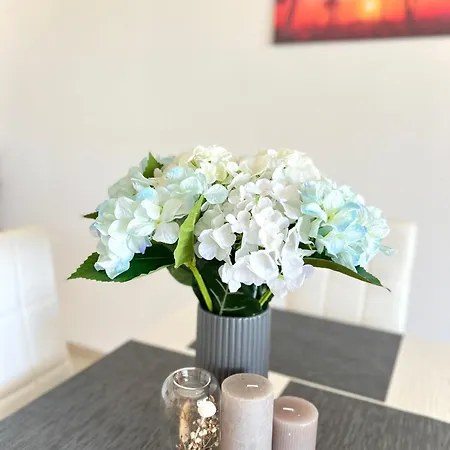 Summer Janet ابزور