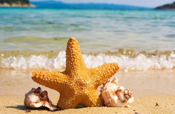 Апартамент Summer Janet