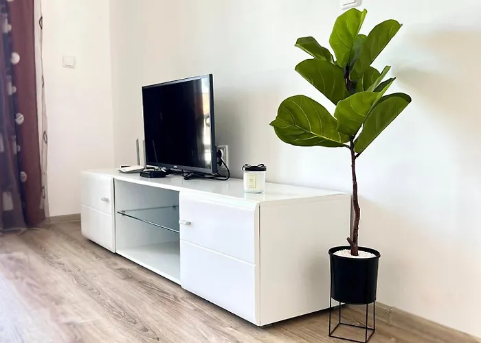 Summer Janet Обзор