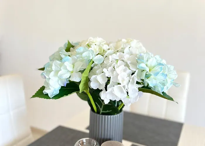 Summer Janet Обзор